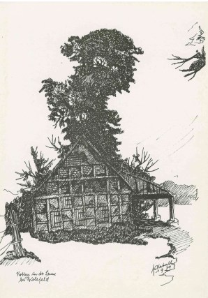 #5_Kotten_in_der_Senne