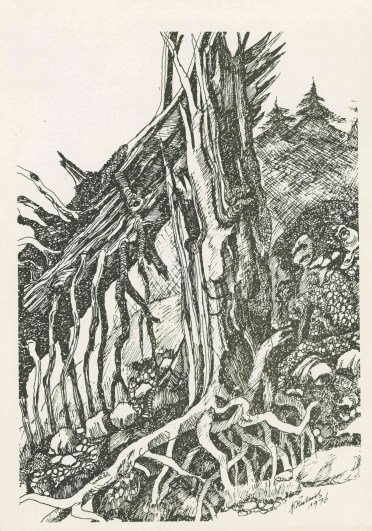 #7_Abgestorbener_Baum